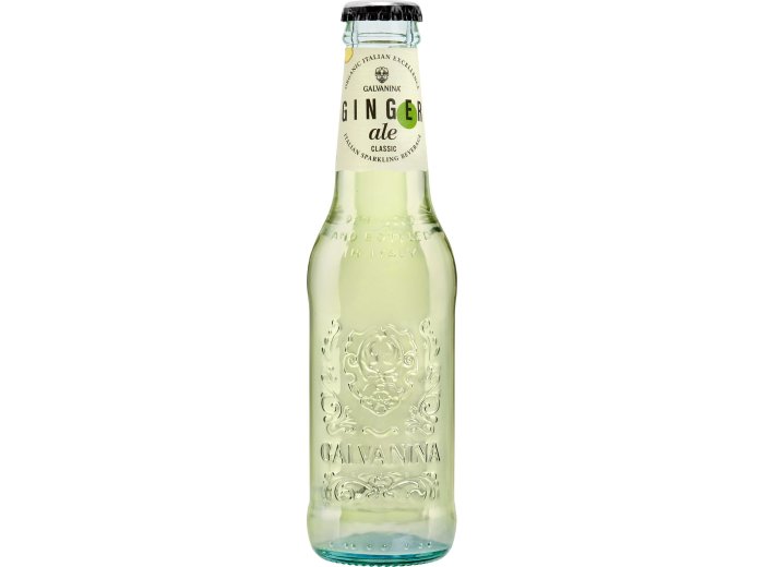 Galvanina Ginger Ale BIO EW 20cl CAx24
