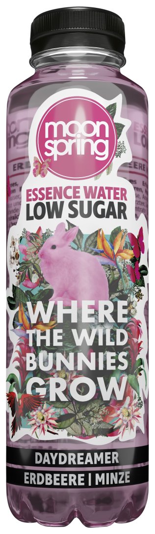 Moonspring Daydreamer Pet -T- Strawberry & Mint 50cl CAx6