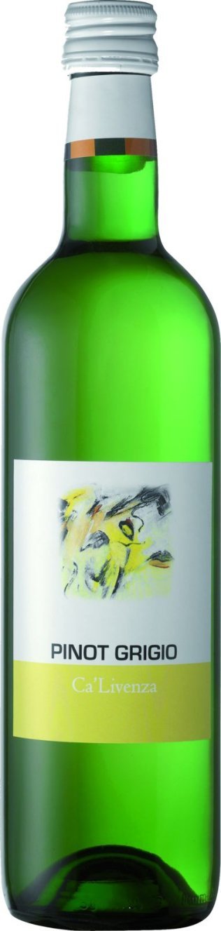 Terra Mia Pinot Grigio DOC Ca'Livenza 50cl VIx15