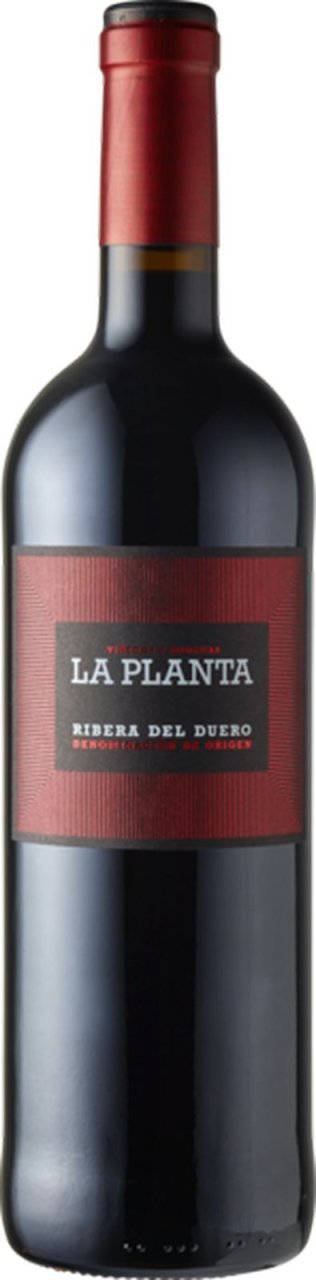La Planta Ribera del Duero DO 75cl CAx6