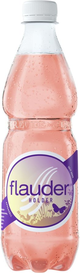 Goba Flauder Holunderbeeren PET-T 50cl CAx24