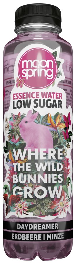Moonspring Daydreamer Pet -T- Strawberry & Mint 50cl CAx6