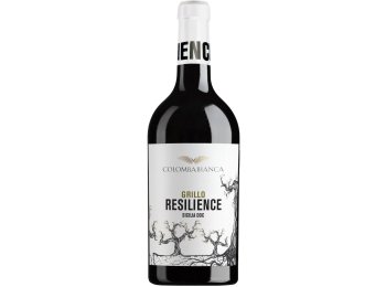 Grillo Résilience DOC Colomba Bianca 75cl CAx6