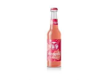 Fritz Spritz Bio-Rhabarberschorle 33cl HAx24