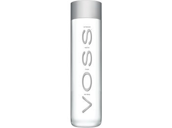 VOSS PET still-ohne 50cl CAx24