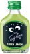 Kleiner Feigling Green Lemon -T- 2cl CAx20